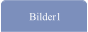Bilder1