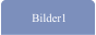 Bilder1